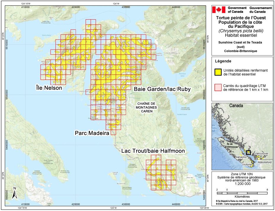 L’habitat essentiel des populations de tortues peintes de l’Ouest nos 28, 31, 32 et 34, dans la région de la Sunshine Coast et de l’île Texada (sud), en Colombie-Britannique