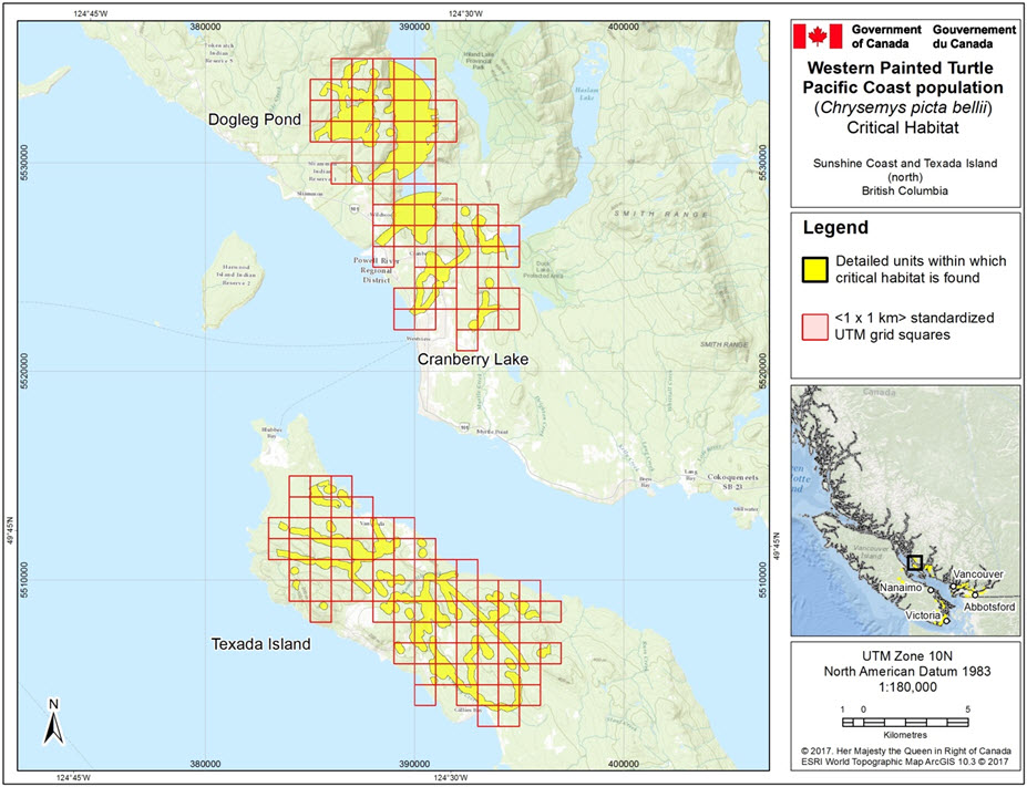 Recovery Strategy for the Western Painted Turtle (Chrysemys picta