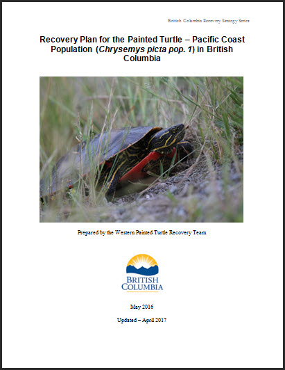 Management Plan for the Threaded Vertigo