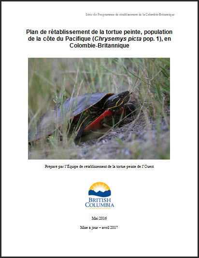 Plan de rétablissement de la tortue peinte, population de la côte du Pacifique