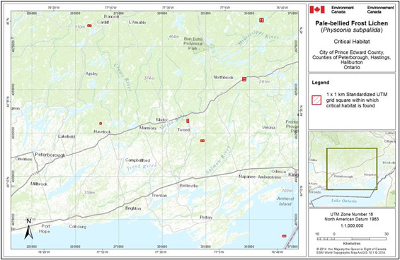 Grid squares that contain critical habitat