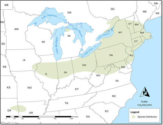Distribution of Pale-bellied Frost Lichen in North America
