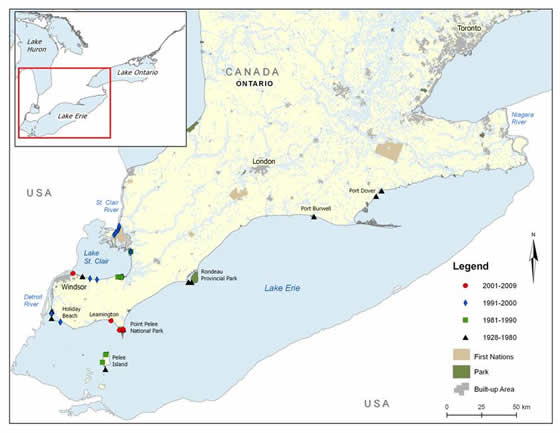 Figure 4. Channel Darter distribution in southwestern Ontario. (See long description below)
