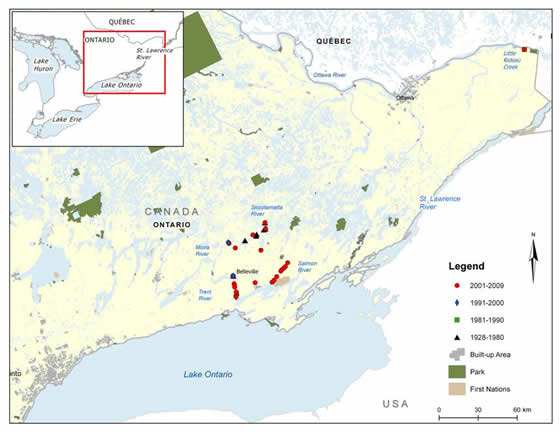 Figure 5. Channel Darter distribution in eastern Ontario. (See long description below)