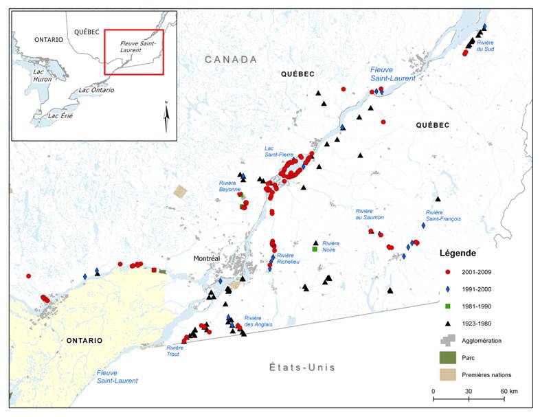 Figure 6. Aire de répartition du fouille-roche gris au Québec. (Voir description longue ci-dessous.)