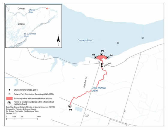Figure 7. Boundaries of the area within which critical habitat of the Channel Darter is found within Little Rideau Creek/Ottawa River. (See long description below)
