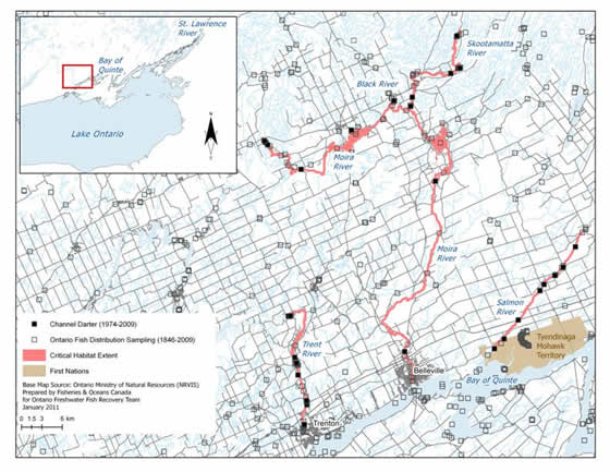 Figure 8. Boundaries of the area within which critical habitat of the Channel Darter is found in the Trent, Moira (Black and Skootamatta) and Salmon rivers. (See long description below)