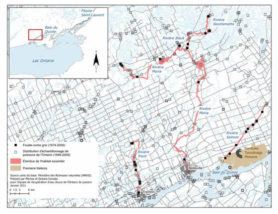 Figure 8. Limites des zones à l’intérieur desquelles se trouve l’habitat essentiel du fouille-roche gris dans les rivières Trent, Moira (Black et Skootamatta) et Salmon. (Voir description longue ci-dessous.)