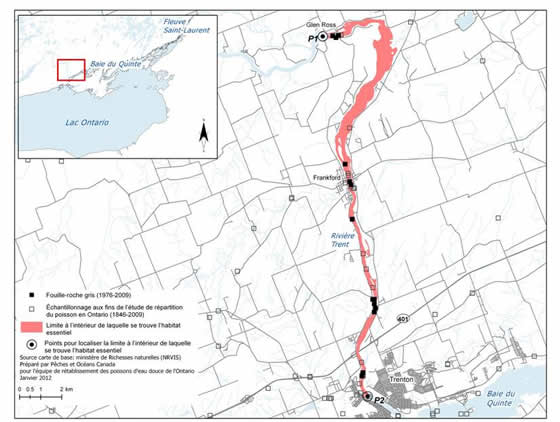 Figure 9. Limites de la zone à l’intérieur de laquelle se trouve l’habitat essentiel du fouille-roche gris dans la rivière Trent. (Voir description longue ci-dessous.)