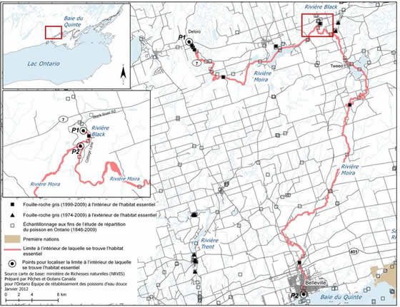 Figure 10. Limites de la zone à l’intérieur de laquelle se trouve l’habitat essentiel du fouille-roche gris dans les rivières Moira et Black. (Voir description longue ci-dessous.)