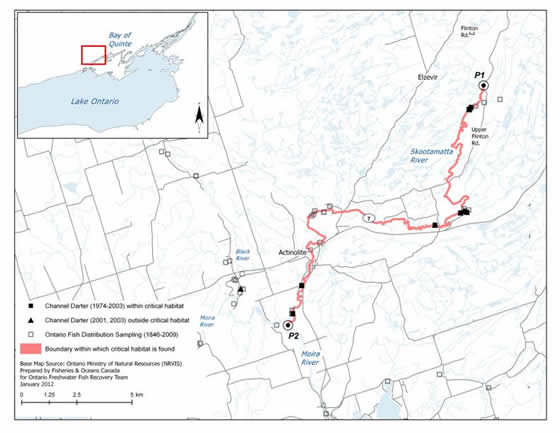 Figure 11. Boundaries of the area within which critical habitat of the Channel Darter is found in the Skootamatta River. (See long description below)
