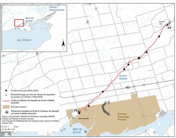 Figure 12. Limites de la zone à l’intérieur de laquelle se trouve l’habitat essentiel du fouille-roche gris dans la rivière Salmon. (Voir description longue ci-dessous.)