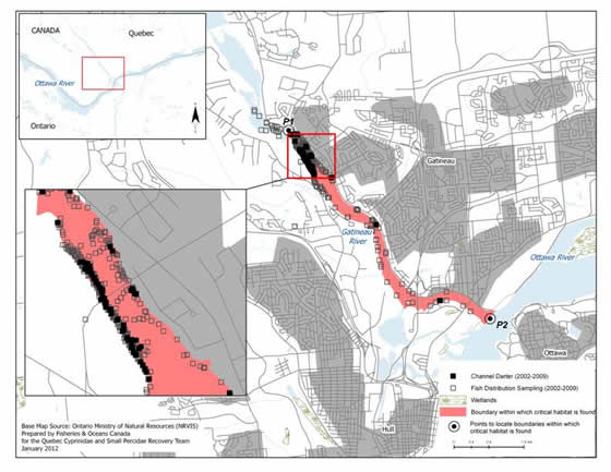 Figure 14. Boundaries of the area within which critical habitat of the Channel Darter is found in the Gatineau River. (See long description below)