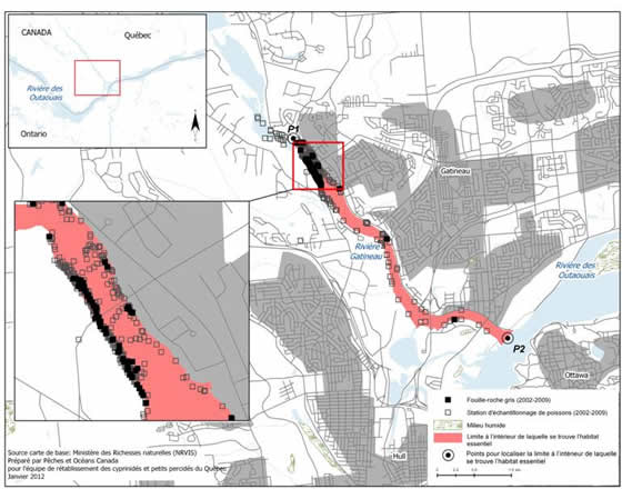 Figure 14. Limites de la zone à l’intérieur de laquelle se trouve l'habitat essentiel du fouille-roche gris dans la rivière Gatineau. (Voir description longue ci-dessous.)