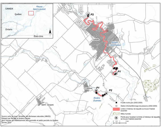 Figure 15. Limites des zones à l’intérieur desquelles se trouve l’habitat essentiel du fouille-roche gris dans les rivières L’Assomption et Ouareau. (Voir description longue ci-dessous.)
