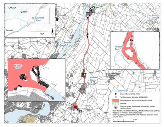Figure 16. Boundaries of the area within which critical habitat of the Channel Darter is found in the Richelieu River. (See long description below)