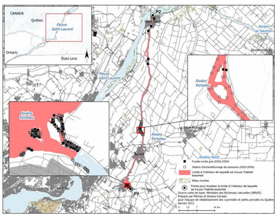 Figure 16. Limite de la zone à l’intérieur de laquelle se trouve l’habitat essentiel du fouille-roche gris dans la rivière Richelieu. (Voir description longue ci-dessous.)