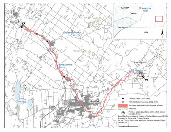 Figure 17. Boundaries of the area within which critical habitat of the Channel Darter is found in the Saint-François River. (See long description below)