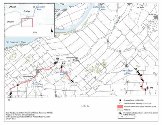 Figure 18. Boundaries of the area within which critical habitat of the Channel Darter is found in the Trout, aux Outardes and des Anglais rivers. (See long description below)
