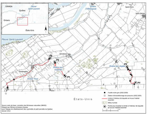 Figure 18. Limites des zones à l’intérieur desquelles se trouve l’habitat essentiel du fouille-roche gris dans les rivières des Anglais, aux Outardes et Trout. (Voir description longue ci-dessous.)