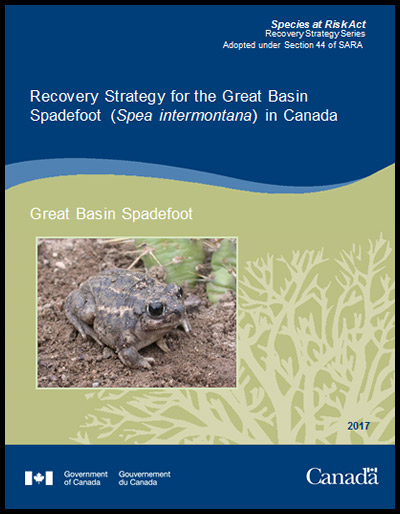 Recovery Strategy for the Great Basin Spadefoot