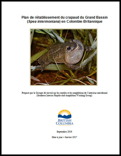 Plan de rétablissement du crapaud du Grand Bassin