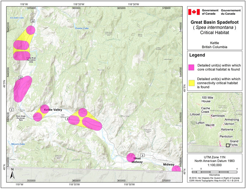Critical habitat for the Great Basin Spadefoot in the Kettle area of B.C.