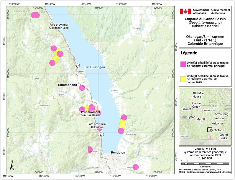 L'habitat essentiel du crapaud du Grand Bassin dans la région de l'Okanagan/de la Similkameen (sud, carte 1), en Colombie-Britannique