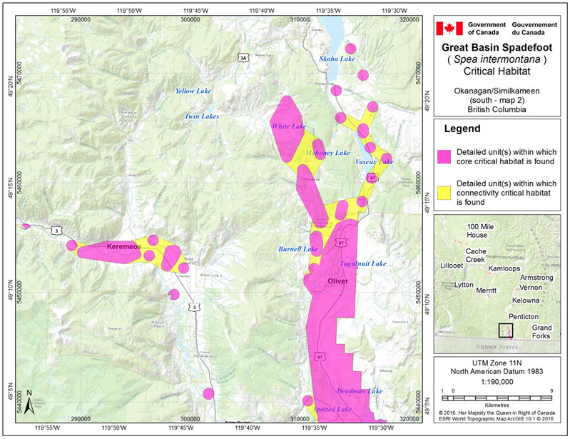 Critical habitat for the Great Basin Spadefoot in the Okanagan/Simikameen (south – map 2) area of B.C.