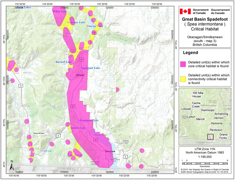 Critical habitat for the Great Basin Spadefoot in the Okanagan/Simikameen (south – map 3) area of B.C.