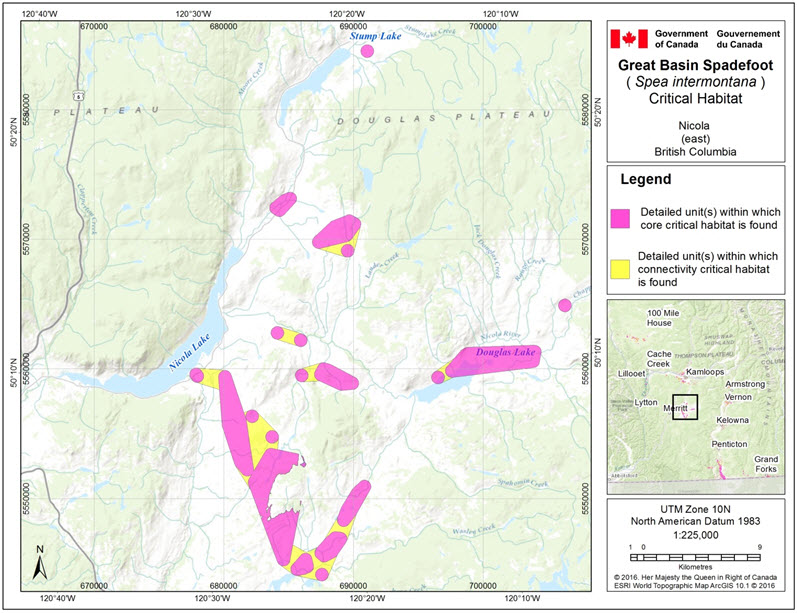 Critical habitat for the Great Basin Spadefoot  in the Nicola (east) area of B.C