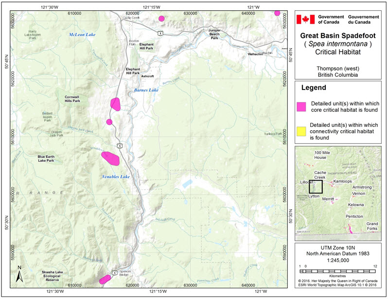Critical habitat for the Great Basin Spadefoot  in the Thompson (west) area of B.C.