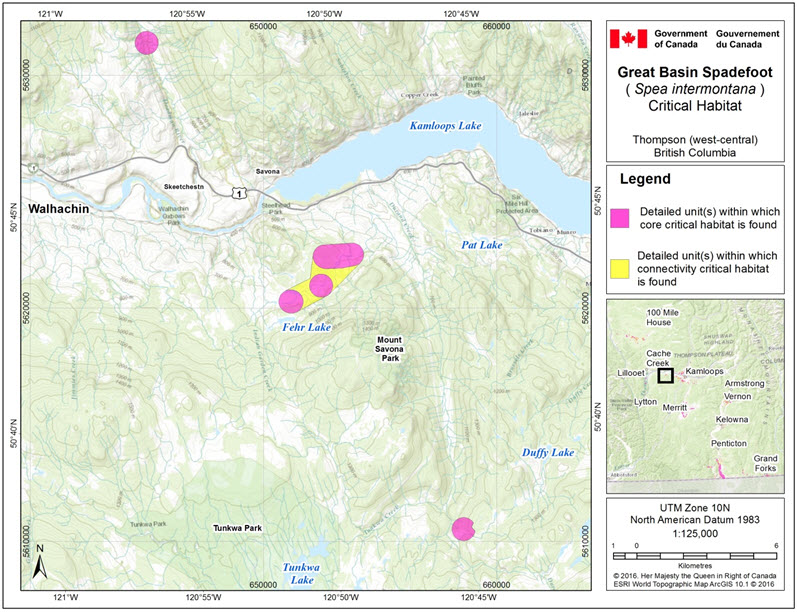 Critical habitat for the Great Basin Spadefoot  in the Thompson (west-central) area of B.C.