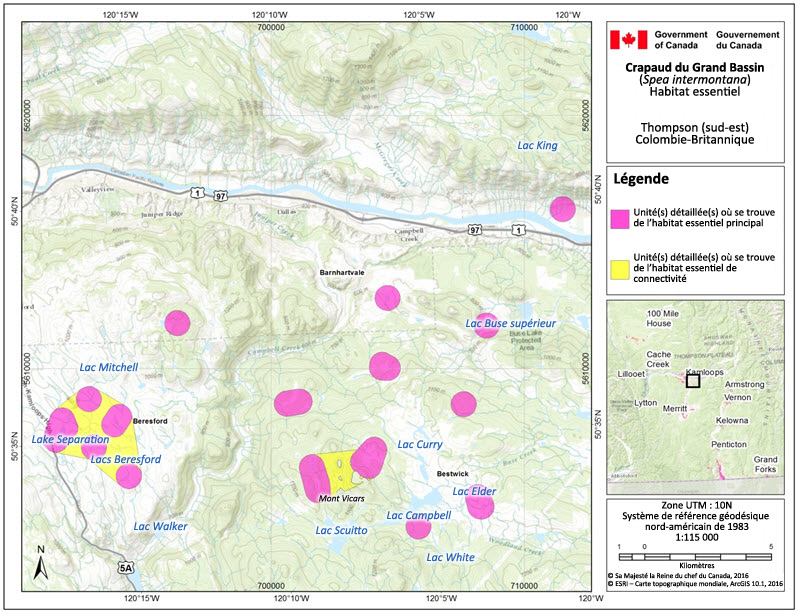 L'habitat essentiel du crapaud du Grand Bassin dans la région de Thompson (sud-est), en Colombie-Britannique