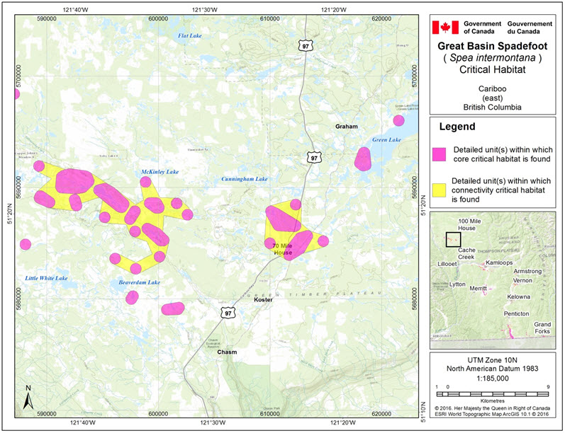 Critical habitat for the Great Basin Spadefoot in the Cariboo (east) area of B.C.