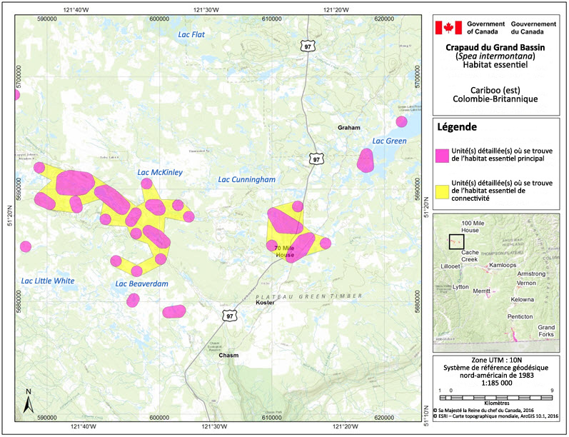 L'habitat essentiel du crapaud du Grand Bassin dans la région de Cariboo (est), en Colombie-Britannique