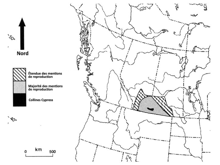 Aire de reproduction du Plectrophane de McCown