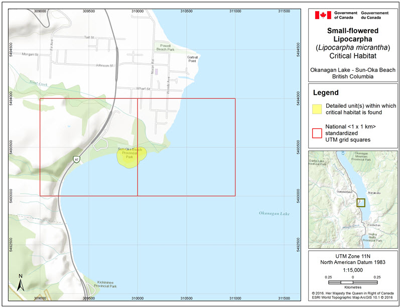 Critical habitat at Okanagan Lake - Sun Oka Beach