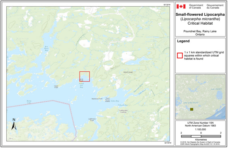 Critical habitat for the Small-flowered Lipocarpha at Poundnet Bay