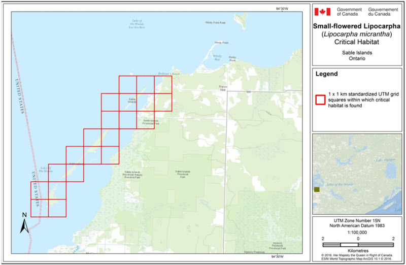 Critical habitat for the Small-flowered Lipocarpha at Sable Islands