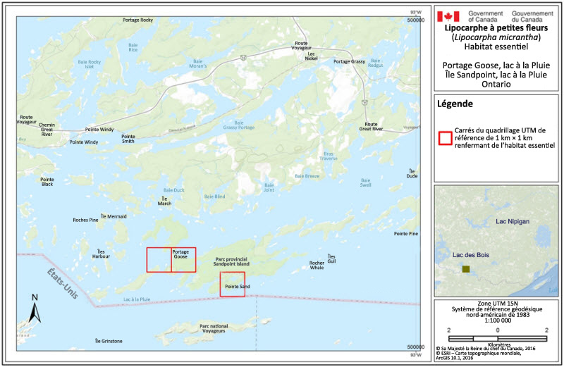 L'habitat essentiel du lipocarphe à petites fleurs au portage Goose et à l'île Sandpoint