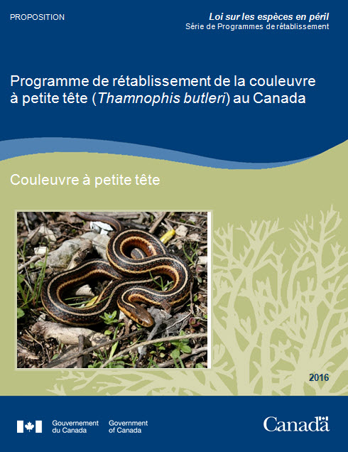 Programme de rétablissement de la couleuvre à petite tête