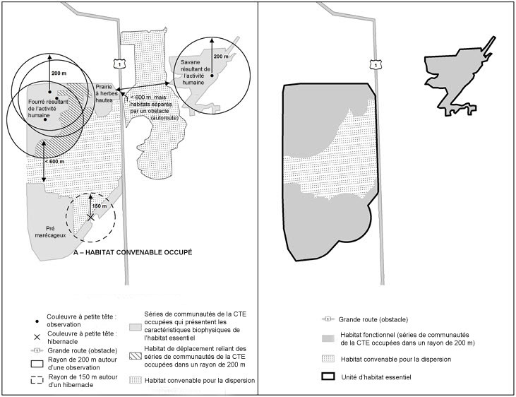 Schéma des critères de désignation de l'habitat essentiel