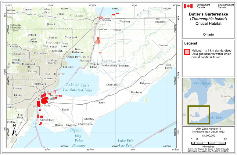 Windsor-Sarnia region critical habitat