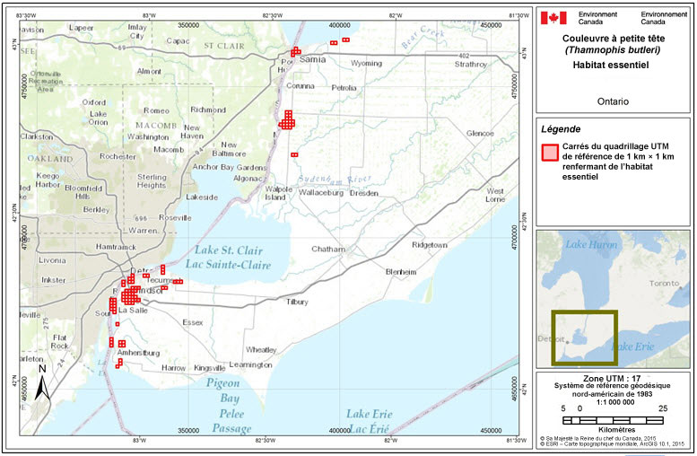 Carrés du quadrillage renfermant de l'habitat essentiel