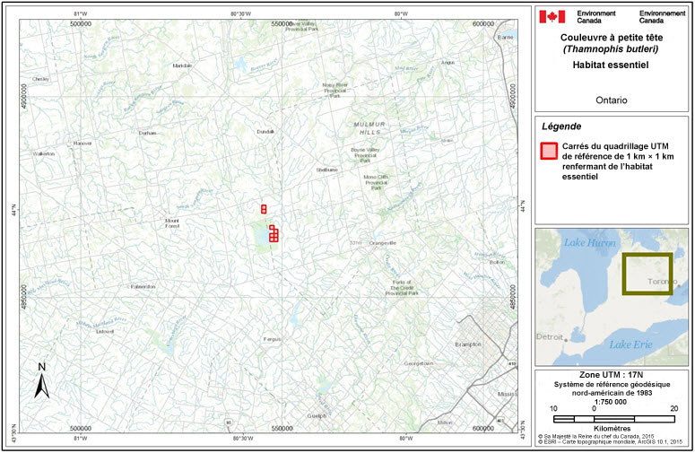 Carrés du quadrillage renfermant de l'habitat essentiel