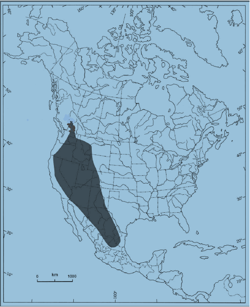 Figure 1 shows the distribution of Spotted Bat in North America. (See long description below)