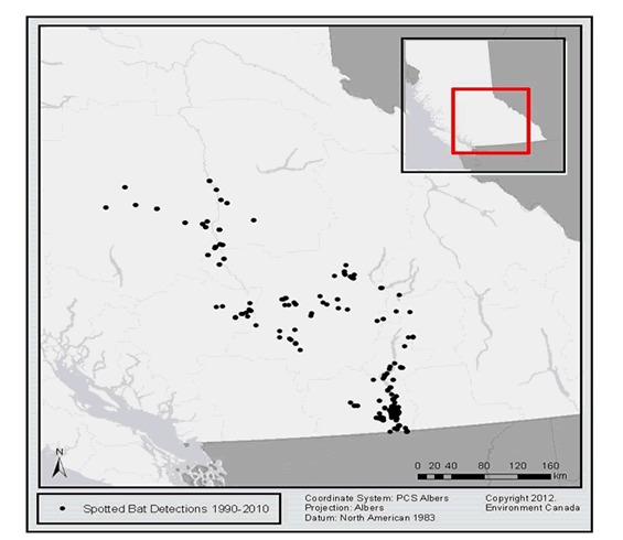 Figure 2 shows the distribution of Spotted Bat in British Columbia, based on Spotted Bat detections from 1990 to 2010. (See long description below)