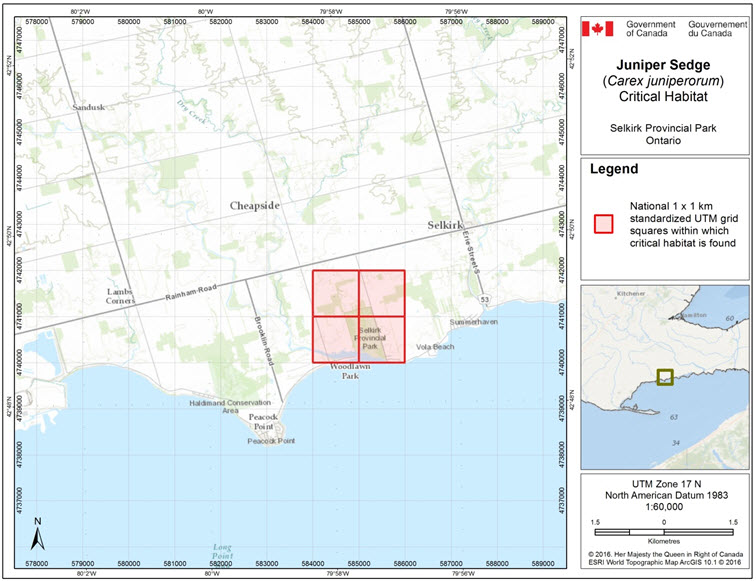 Grid squares that contain critical habitat