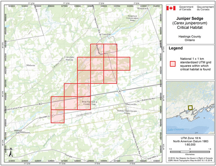 Grid squares that contain critical habitat